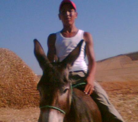 hamdan le chevalier